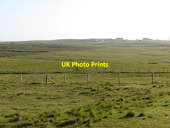Photo 6"x4" Grassland, Murrion Braehoulland c2013