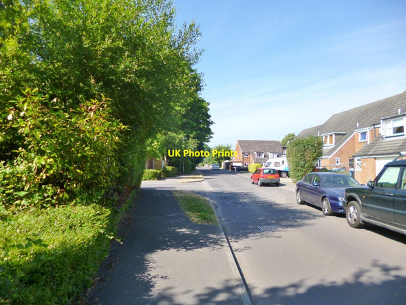 Photo 6"x4" Alderholt, Blackwater Grove Alderholt c2013