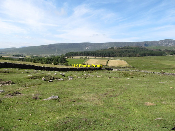 Photo 6"x4" Upland grazing above the Banns Road Attical c2013