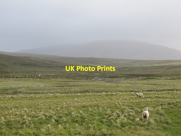 Photo 6"x4" Farmland, Burnside Burnside\/HU2778 c2013