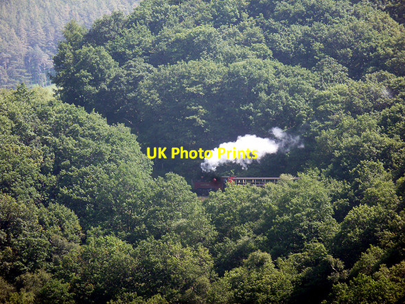 Photo 6"x4" Train in the trees Devil's Bridge\/Pontarfynach c2013