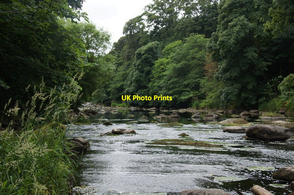 Photo 6"x4" River Almond at Cramond Braepark c2013 P1