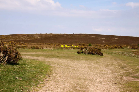 Photo 6"x4" Looking up Ley Hill Horner\/SS8945 c2013