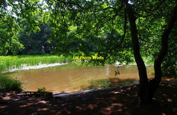 Photo 6"x4" Hilditch (or Hillditch) Pool, near Hartlebury, Worcs Stourport-on-Severn c2013