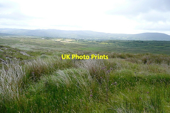 Photo 6"x4" View at Gortalassa Glanlough c2013