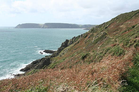 Photo 6"x4" Chivelstone: coast path to Portlemouth Down East Prawle c2008