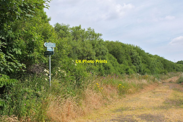 Photo 6"x4" Ratho Paths Network signs near the Union Canal Newbridge\/NT1272 c2013
