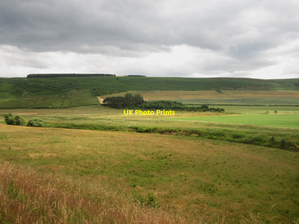 Photo 6"x4" Grassland near Weetwood Hall East Horton c2013