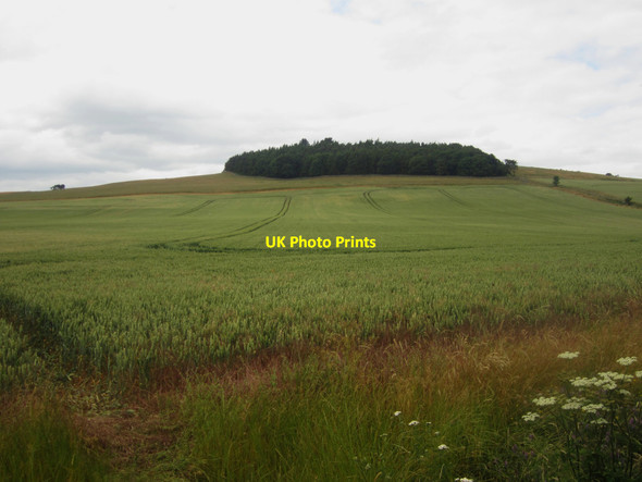 Photo 6"x4" Looking towards Broomy Knowe East Horton c2013
