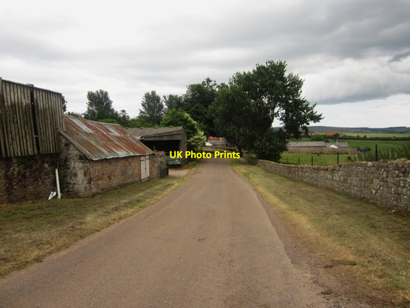 Photo 6"x4" Country road through West Horton East Horton c2013