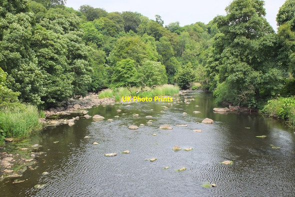 Photo 6"x4" River Almond Bonnington\/NT1169 c2013