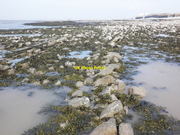 Photo 6"x4" Outlying rocks, at low tide. Burton\/ST1944 c2013