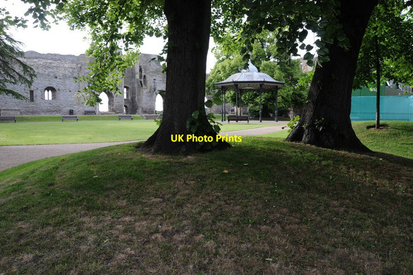 Photo 6"x4" Trees in Newark Castle Newark-on-Trent c2013