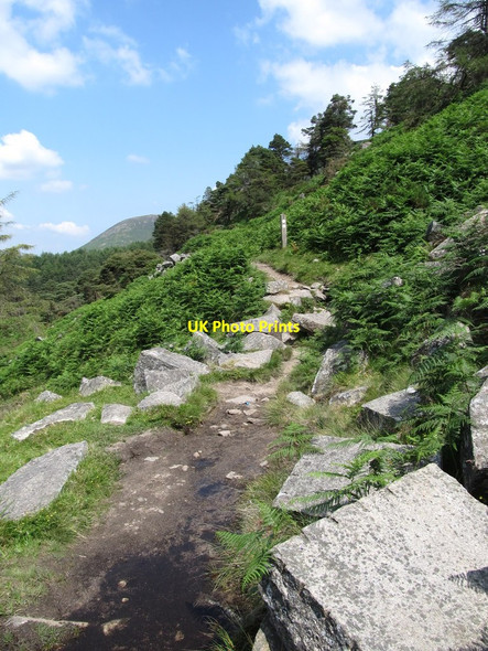 Photo 6"x4" The Mourne Way\/Ulster Way Trail in the Shanky's River Valley Hilltown\/J2128 c2013