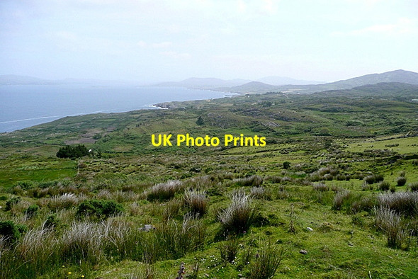 Photo 6"x4" Grazing at Lackavaun Goleen c2013