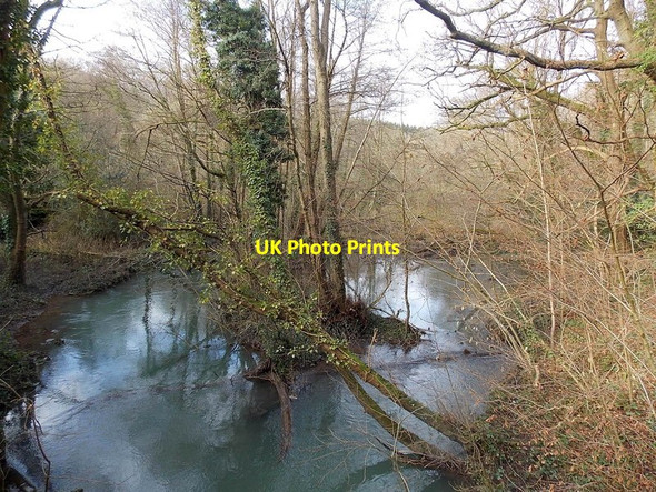 Photo 6"x4" The Lyd flows through a small lake in the north of Lydney Lydney c2013