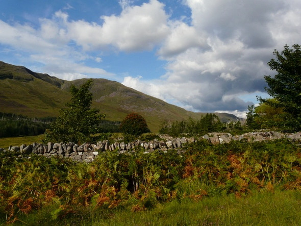 Photo 6"x4" Sheep Fold,above Applecross Applecross c2008