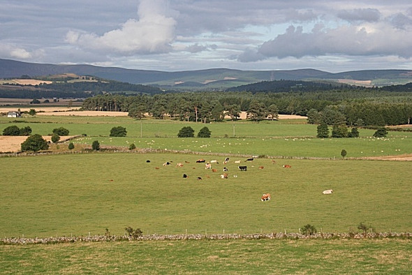 Photo 6"x4" Looking towards Tarland from near Titaboutie Coull\/NJ5102 c2008