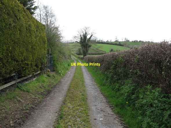 Photo 6"x4" Loanin leading from Crabtree Road to Annahinchego Lake Ballyroney c2013