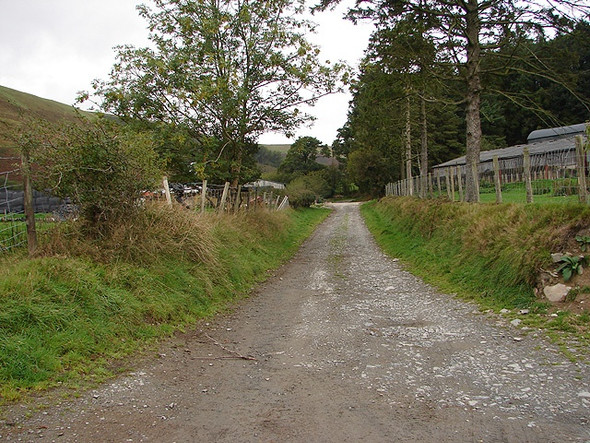 Photo 6"x4" Track to Nantyrhendy Farm Llangurig c2006