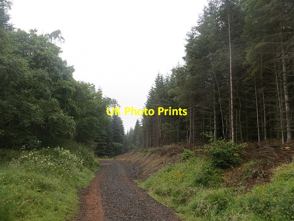Photo 6"x4" Keltyhill Wood Kelty c2013