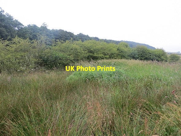 Photo 6"x4" Wetland, Loch Ore Keltybridge c2013