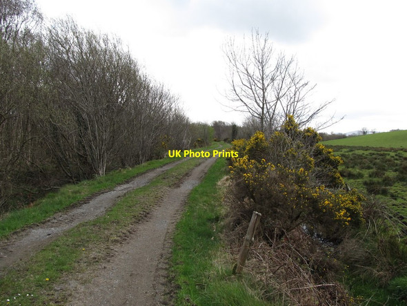 Photo 6"x4" Causeway south towards Roghan Bog Ballyroney c2013