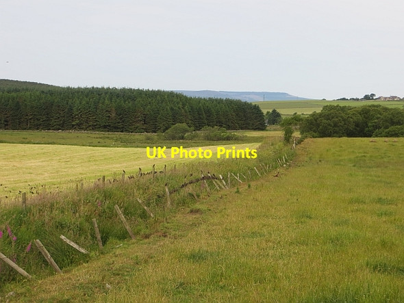 Photo 6"x4" Drain near Auchlea Elrick\/NJ8206 c2013