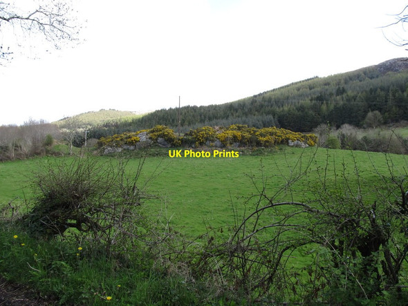 Photo 6"x4" Whin-crowned rock outcrop east of Glendesha Road Forkhill c2013