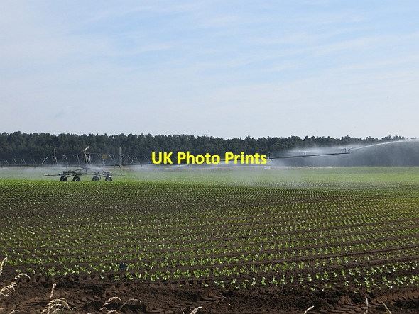 Photo 6"x4" Irrigation, Howe of Fife Ladybank\/NO3009 c2013