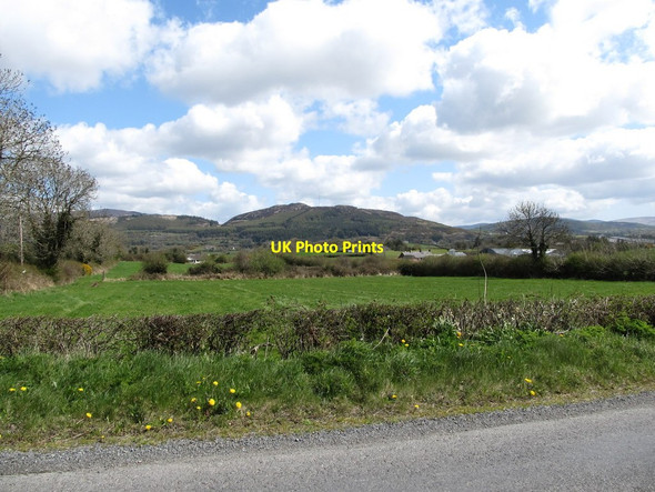 Photo 6"x4" Cultivated grass alongside Ballsmill Road Forkhill c2013