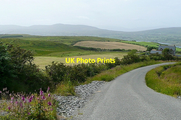 Photo 6"x4" View down the Mine Road Durrus c2013
