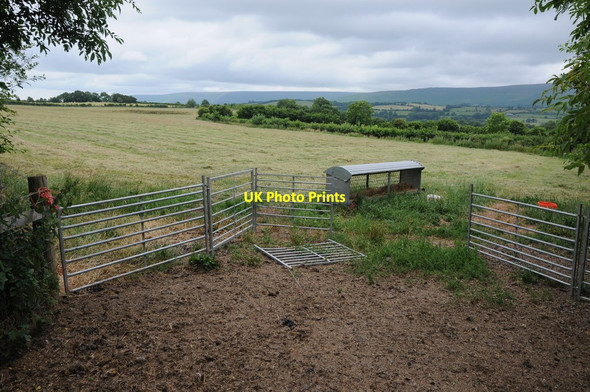 Photo 6"x4" Farmland above Booby Dingle Craswall\/SO2835 c2013