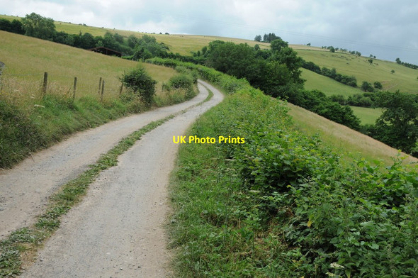 Photo 6"x4" Farm road to Bwlch Farm Archenfield c2013