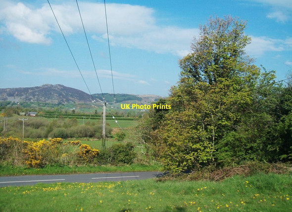 Photo 6"x4" 11kv power lines at Drumintee Forkhill c2013