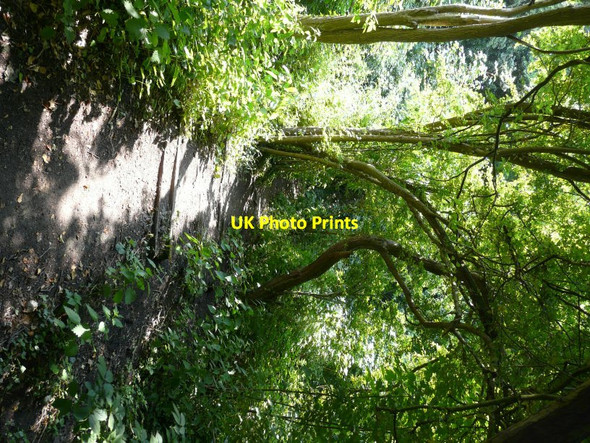 Photo 6"x4" Railway sleepers embedded in a footpath Elvington\/TR2750 c2013