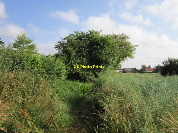 Photo 6"x4" A path leading to Main Street, Church Fenton Church Fenton c2013