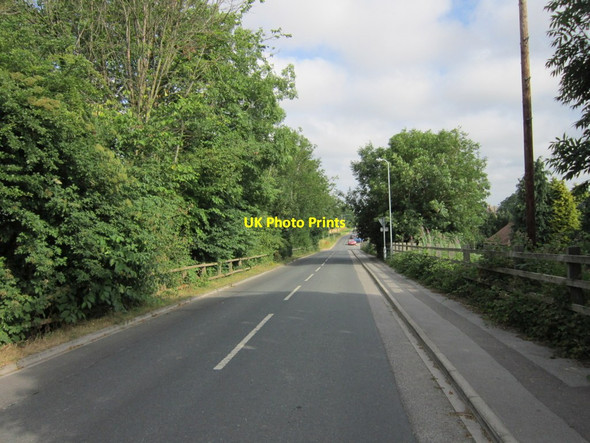 Photo 6"x4" Common Lane, Church Fenton Barkston Ash c2013