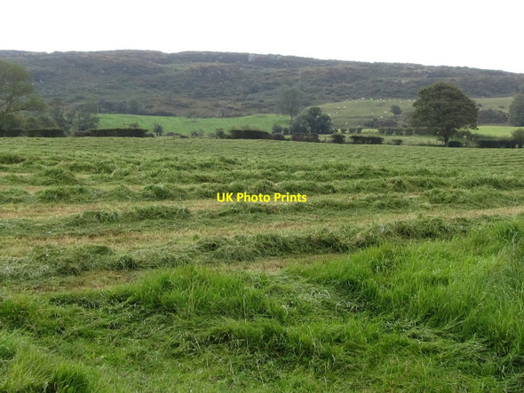 Photo 6"x4" Mown meadow on the east side of Herons Road Ballyward c2011