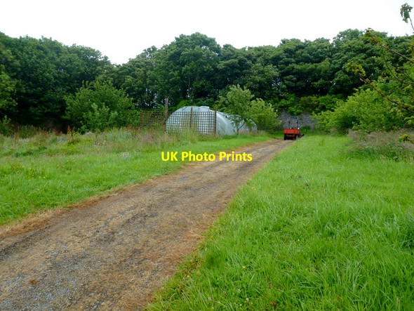 Photo 6"x4" Bantry House walled garden Bantry c2013 P1