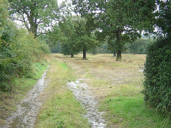 Photo 6"x4" Bridleway from Locko Park to Oakwood Cherrytree Hill c2008