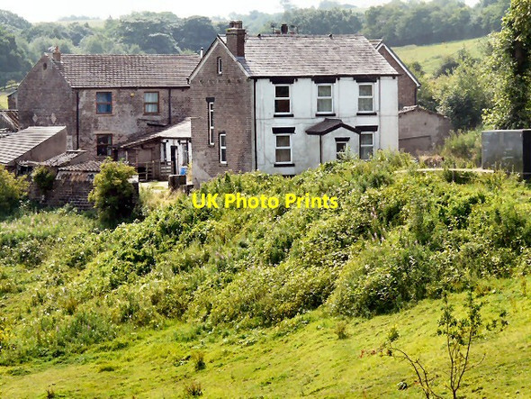 Photo 6"x4" Brookfold Farm Hyde\/SJ9494 c2013