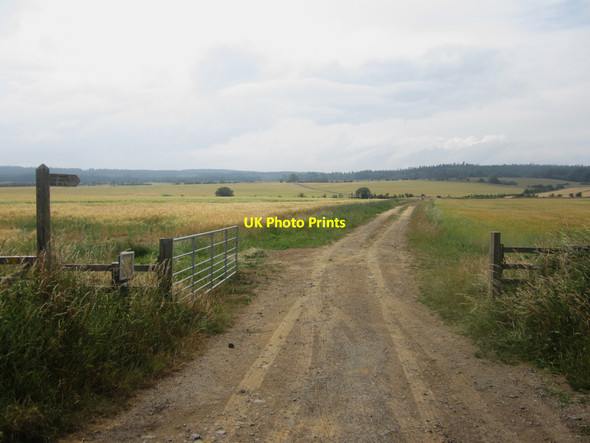 Photo 6"x4" Public bridleway towards Kyloe Woods Detchant c2013
