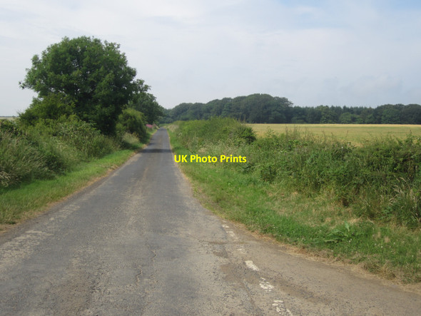 Photo 6"x4" Looking along a country road towards Fenwick Detchant c2013