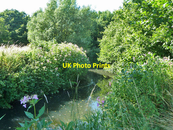 Photo 6"x4" River Uck Isfield c2013