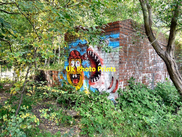 Photo 6"x4" Graffiti at Godley Junction Hyde\/SJ9494 c2013