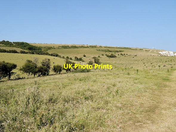 Photo 6"x4" Bembridge Down Yaverland\/SZ6185 c2013