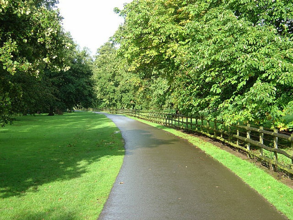 Photo 6"x4" The drive to Locko Park house Oakwood\/SK3838 c2008