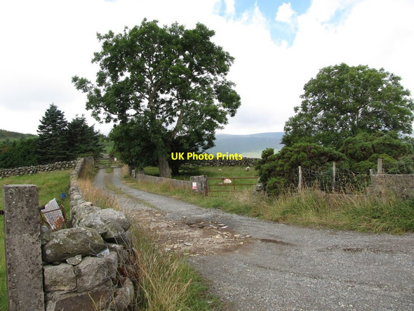 Photo 6"x4" Roadway leading to Knockchree Forest Attical c2013