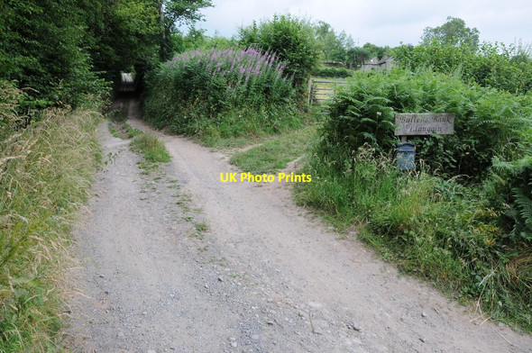 Photo 6"x4" Road to Llangain and Bullen's Bank Archenfield c2013